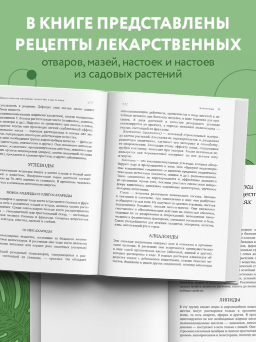 Декоративные лекарственные растения на даче. Как выращивать, заготавливать и применять 200 популярных видов