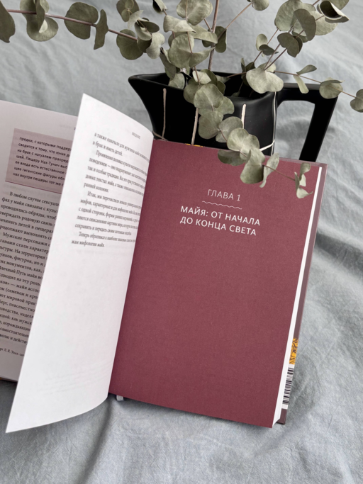 Мифы майя. От жертвоприношений и священного какао до книги «Пополь-Вух» и подземного царства Шибальбы